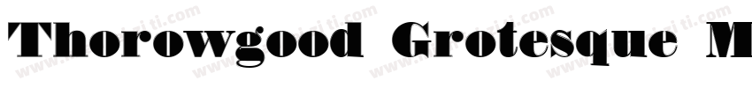 Thorowgood Grotesque Medium字体转换